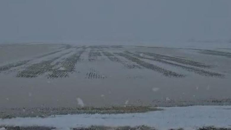 Lumi Vjosa doli nga shtrati, urdhër i menjëhershëm evakuimi në Bashkinë Vlorë dhe Novoselë